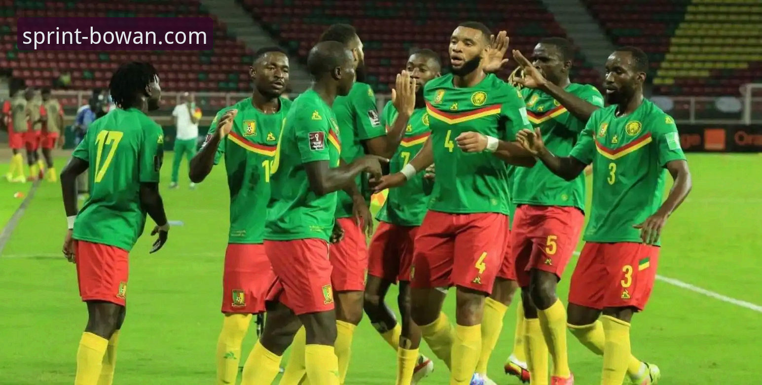 民主刚果绝杀晋级世界杯详解：一场跨越52年的等待